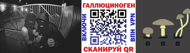 Псилоцибиновые грибы Magic Shrooms  Терек 