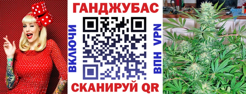 закладки  Терек  Канабис Bruce Banner 